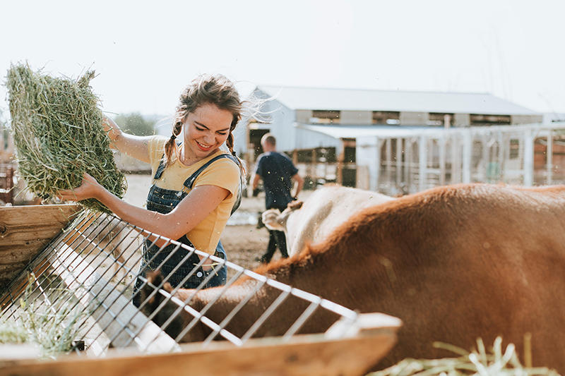 Girl with hay bale