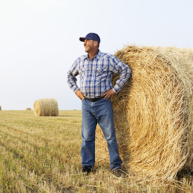 Farmer standing by hay bale, staring triumphantly off into distance 